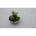 Granite Tile Silver 600x400x20mm Granite Tile Silver 600x400x20mm